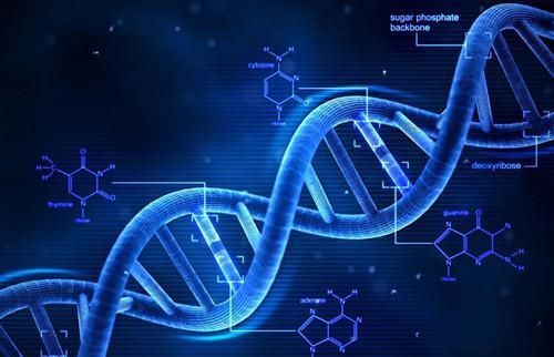 克隆技術 從喧囂到沉寂，科學家的解答揭示深層原因